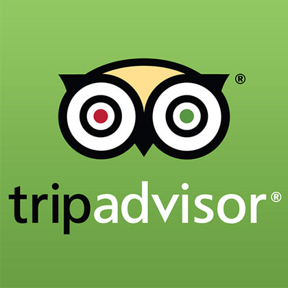 Trip advisor logo square