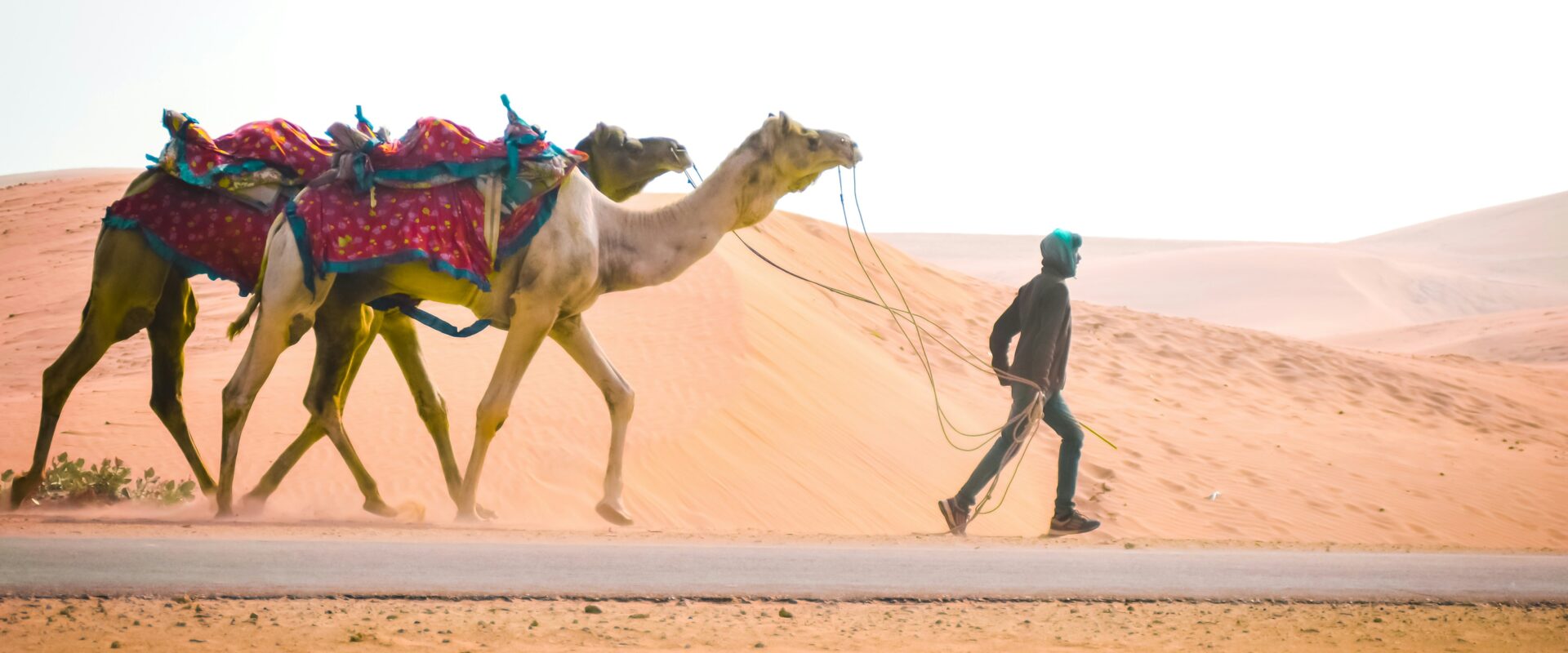 Circuit – Le grand tour du Rajasthan