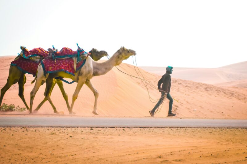 Circuit – Le grand tour du Rajasthan
