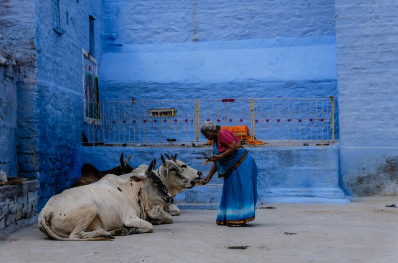 Circuit – Les charmes du Rajasthan