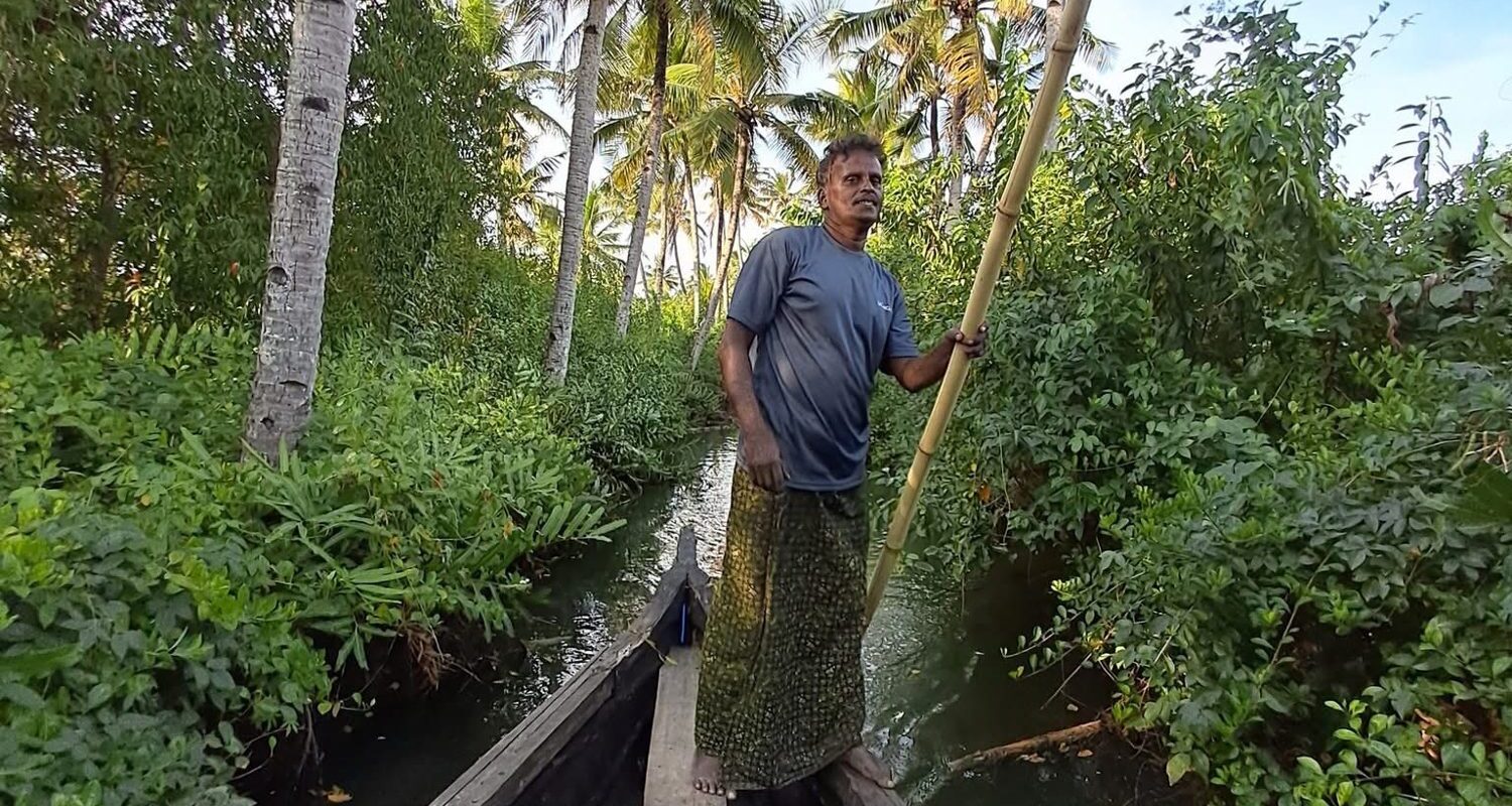Kerala en 10 jours : Cochin, thé de Munnar, Periyar, backwaters et plage