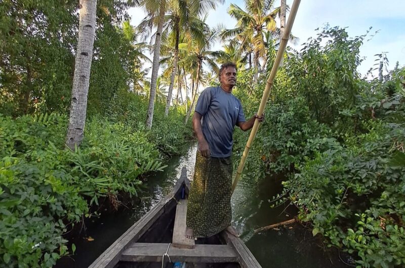 Kerala en 10 jours : Cochin, thé de Munnar, Periyar, backwaters et plage